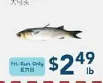 Oceans Fresh Food Market Large Mullet offer