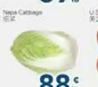 Oceans Fresh Food Market Napa Cabbage offer