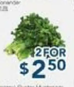 Oceans Fresh Food Market Coriander offer
