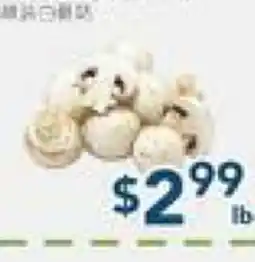Oceans Fresh Food Market Loose White Mushroom offer