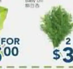 Oceans Fresh Food Market Baby Dill offer