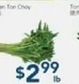 Oceans Fresh Food Market Green Ton Choy offer