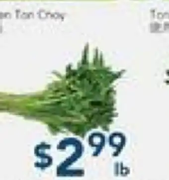 Oceans Fresh Food Market Green Ton Choy offer