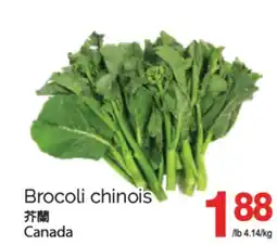 T&T Supermarket BROCOLI CHINOIS offer