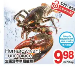 T&T Supermarket HOMARD VIVANT UNE PINCE offer