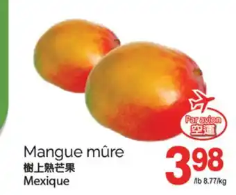 T&T Supermarket AVION MANGUE MÛRE offer