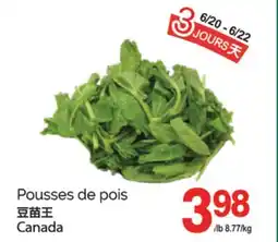 T&T Supermarket POUSSES DE POIS offer