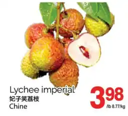 T&T Supermarket LYCHEE IMPERIAL offer