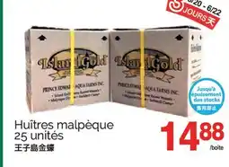 T&T Supermarket HUITRES MALPEQUE, 25 unites offer