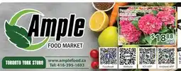 Ample Food Market Premium Hydrangeas offer