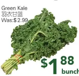 Ample Food Market Green Kale offer
