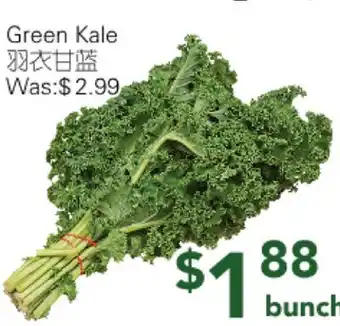 Ample Food Market Green Kale offer