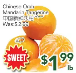 Ample Food Market Chinese Orah Mandarin Tangerine offer