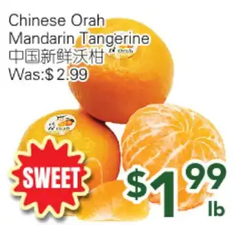 Ample Food Market Chinese Orah Mandarin Tangerine offer