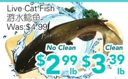 Ample Food Market Live Cat Fish offer
