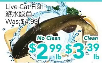 Ample Food Market Live Cat Fish offer