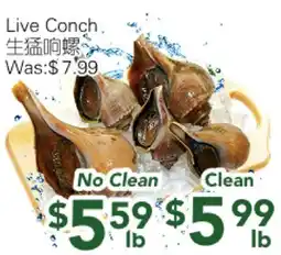 Ample Food Market Live Conch offer