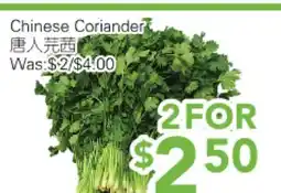 Ample Food Market Chinese Coriander offer