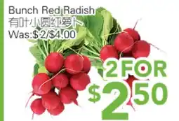 Ample Food Market Bunch Red Radish offer