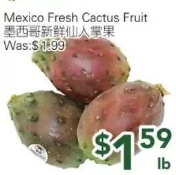 Ample Food Market Mexico Fresh Cactus Fruit offer