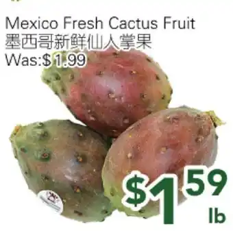 Ample Food Market Mexico Fresh Cactus Fruit offer