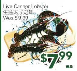 Ample Food Market Live Canner Lobster offer