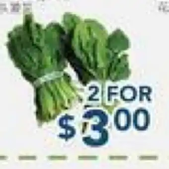 Oceans Fresh Food Market Headless Spinach offer