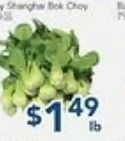 Oceans Fresh Food Market Bok Choy offer