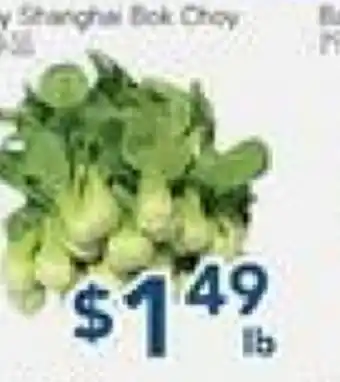Oceans Fresh Food Market Bok Choy offer