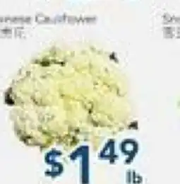 Oceans Fresh Food Market Chineese Cauliflower offer