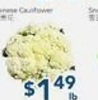 Oceans Fresh Food Market Chineese Cauliflower offer