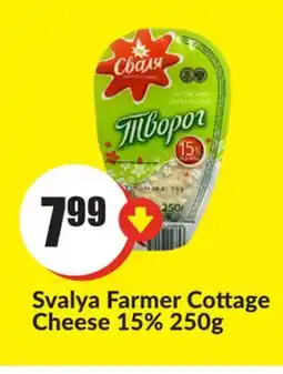FreshCo Svalya Farmer Cottage Cheese 15% 250g offer