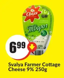 FreshCo Svalya Farmer Cottage Cheese 9% 250g offer