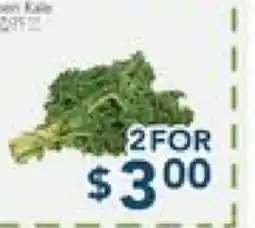 Oceans Fresh Food Market Green Kale offer