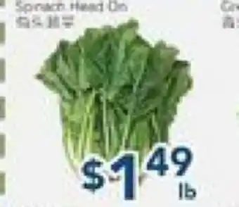 Oceans Fresh Food Market Greens offer