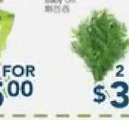 Oceans Fresh Food Market Fruits & Vegetables offer
