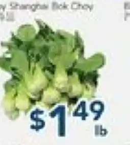 Oceans Fresh Food Market Italy Shanghai Bok Choy offer