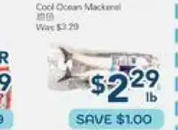 Oceans Fresh Food Market Cool Ocean Macaroni offer