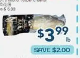 Oceans Fresh Food Market Snow World Yellow Croaker offer