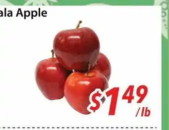 Bestco Food Mart Gala Apple offer