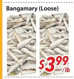 Bestco Food Mart Bangamary (Loose) offer