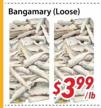 Bestco Food Mart Bangamary (Loose) offer