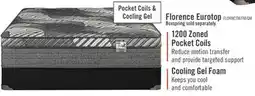 The Brick Springwall Florence Eurotop Luxury Firm Twin Mattress offer