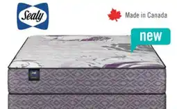 The Brick Sealy Essential Collection Kylie 2.0 Tight Top Luxury Firm Queen Mattress offer