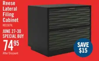 The Brick Reese 24 Modern 2-Drawer Cabinet - Black offer
