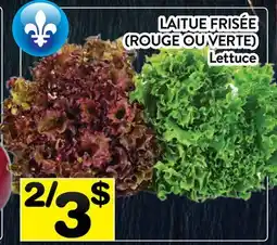 Supermarché PA LAITUE FRISÉE (ROUGE OU VERTE) | LETTUCE offer