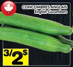 Supermarché PA CONCOMBRES ANGLAIS | English Cucumbers offer