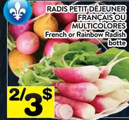Supermarché PA RADIS PETIT DÉJEUNER FRANÇAIS OU MULTICOLORES | FRENCH OR RAINBOW RADISH BOTTE offer