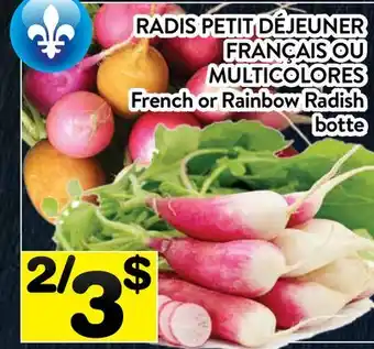 Supermarché PA RADIS PETIT DÉJEUNER FRANÇAIS OU MULTICOLORES | FRENCH OR RAINBOW RADISH BOTTE offer