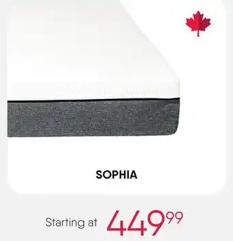 Meubles RD SOPHIA offer